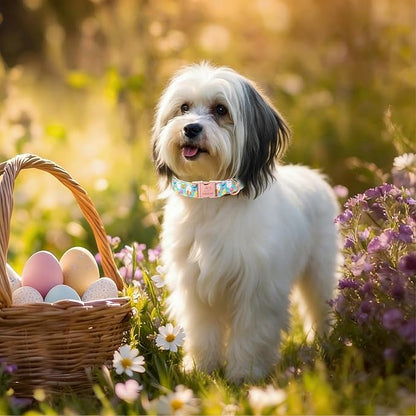 Easter Dog Collar, Cute Egg Hunt Easter Collars for Small Dogs, Playful Bunny & Chick Print, Adjustable Heavy Duty Boy Girl Spring Holiday Dog Collar with Metal Buckle S
