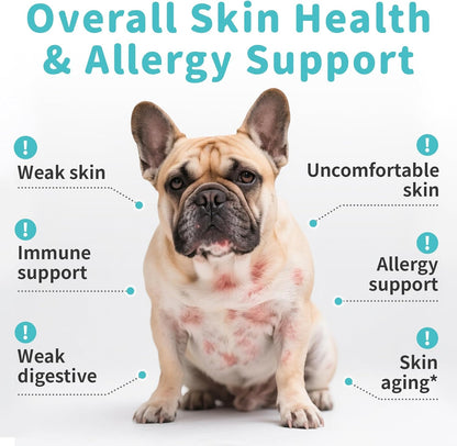 Dog Skin & Allergy Chews - Dog Probiotics for Sensitive Skin Health Support - Allergy Relief - Support Seasonal Allergies, Immune & Gut & Digestive Health Supplement - Chicken Flavor - 90 Count