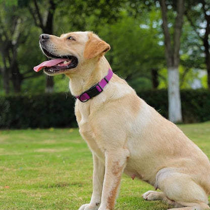 Waterproof Dog Collar, Easy to Clean Rubber Dog Collars with Quick Release Buckle Fits Small Medium or Large Dogs (Purple, S < 9.5-14.1 inch)