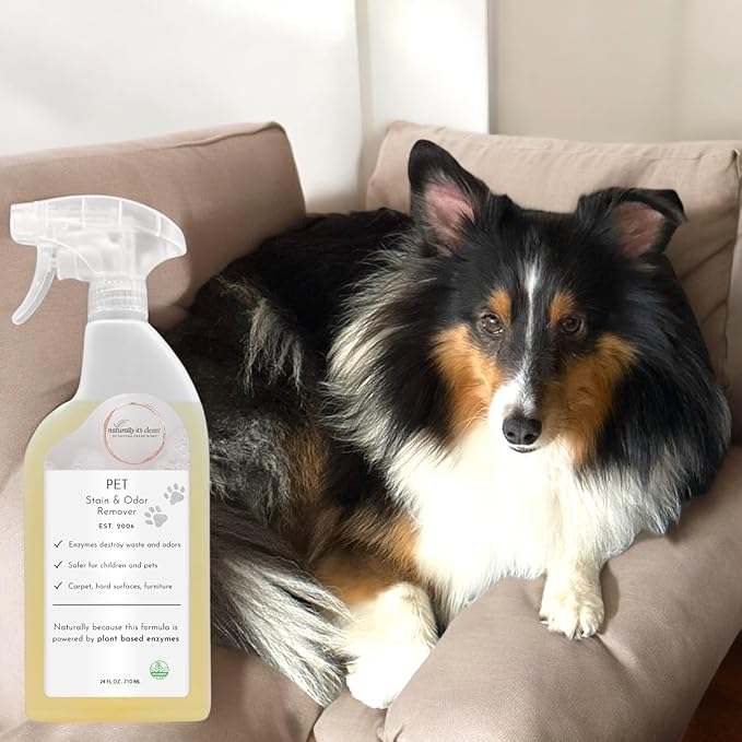 naturally it's clean Enzyme Pet Stain & Odor Remover | Plant-Based Cleaner for Dog Poop, Cat Urine, Vomit & More | Powerful Odor Eliminator | Biodegradable & Safe for Pets | Made in USA