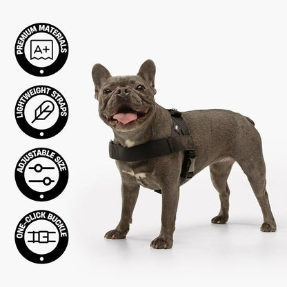 Dog Friendly Co. Dog Harness for Large Dogs (Classic Blue, Large) | One Click Buckle, Chafe Resistant Webbing, Adjustable Neck & Chest, and Heavy Duty D-Ring, Sturdy Comfortable and Easy to Use