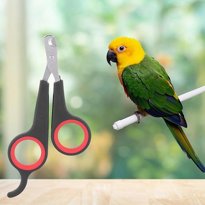 Cat Nail Trimmer, Pet Nail Clippers, Stainless Steel Bird Nail Clippers, Comfortable Cat Nail Cutter, Small Animal Nail Clippers 4.6x2.4In for Bird, Rabbit, Dog, Parrot