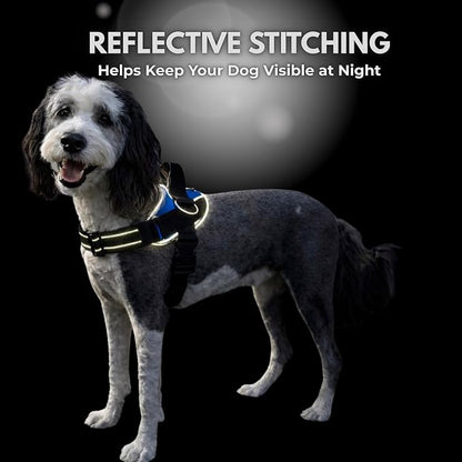 ShawnCo Essential Dog Harness, No-Pull Pet Vest (White Sharks,XS) | 3 Leash Clips, Easy On, No-Choke, Reflective, Adjustable Fit, Padded Comfort, Control Handle, For Small, Medium & Large Dogs