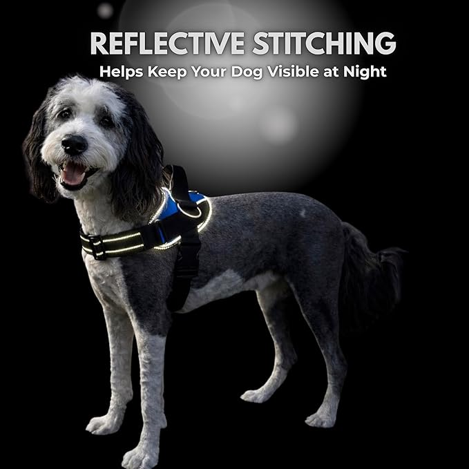 ShawnCo Essential Dog Harness, No-Pull Pet Vest (Driftwood,XS) | 3 Leash Clips, Easy On, No-Choke, Reflective, Adjustable Fit, Padded Comfort, Control Handle, For Small, Medium & Large Dogs