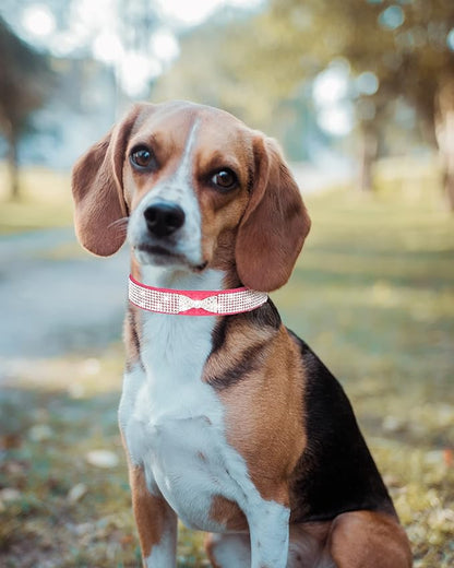 Bling Dog Collar for Small Medium Large Dogs, Crown Rhinestone Dog Collars for Girl and boy Dog, Diamond Puppy Collars, Adjustable Leather Suede SOFE Cat Collar (S(10.6"-13"/27CM-33CM), Pink2)