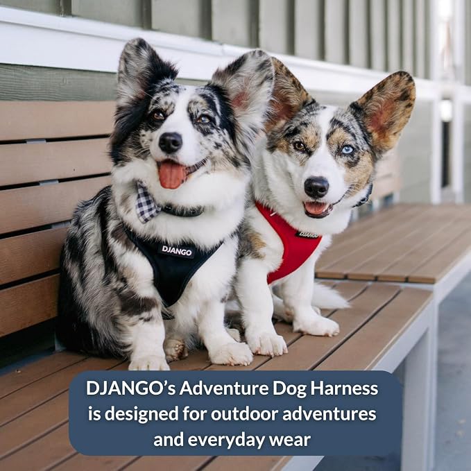 Adventure Dog Harness - Stylish and Durable Large Dog Harness for Outdoor Adventures and Everyday Wear - Red Neoprene Adjustable Harness for Dogs with Reflective Piping, Solid Brass D-Ring