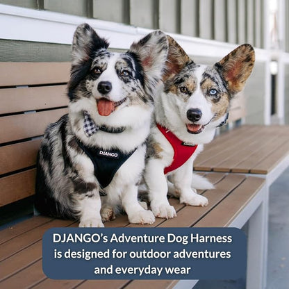 Adventure Dog Harness - Stylish and Durable Large Dog Harness for Outdoor Adventures and Everyday Wear - Red Neoprene Adjustable Harness for Dogs with Reflective Piping, Solid Brass D-Ring