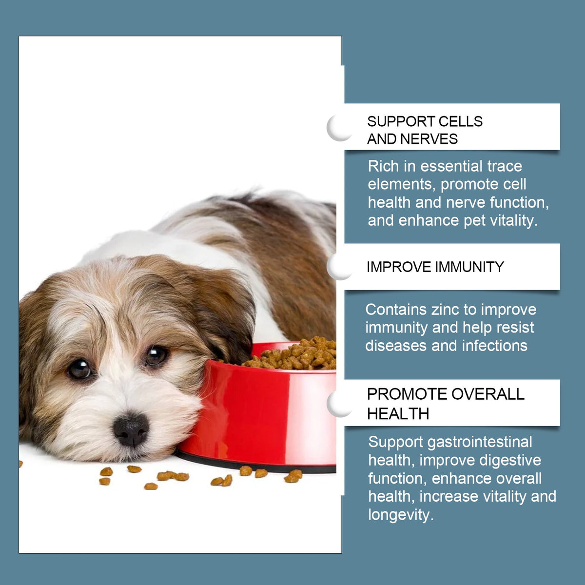 Dog Mineral Supplement Tablets, 80 Chewable Minerals Tablets For Pica, Appetite & Bone Health Support, Non-GMO Human Grade Pet Vitamins