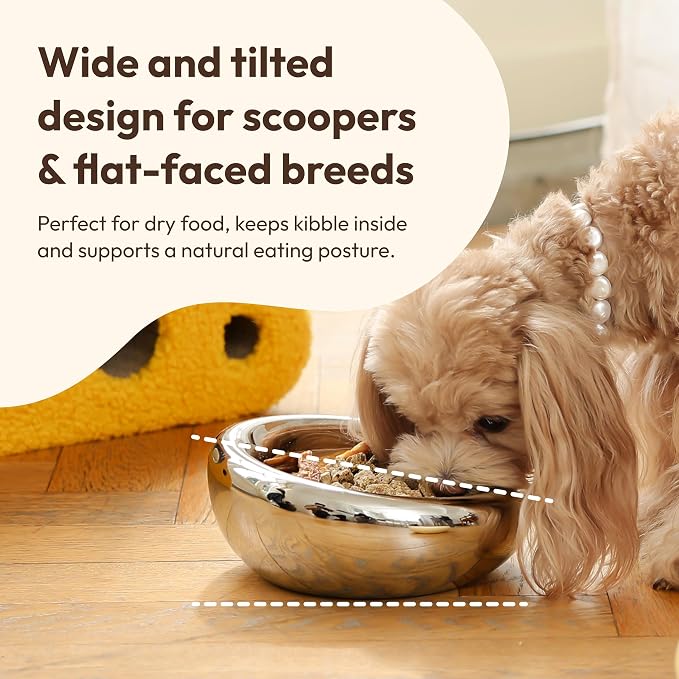 Pebble Pet Bowl Deep Chrome, Ergonomic Dog Cat Feeding Bowl, Flat-Faced Breed, Tilted Ceramic Pet Food Dish, Scooper Eater, Anti-Spill Design, Dishwasher Safe, Modern Pet Bowl, Dry & Wet Diet