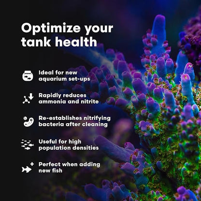 Brightwell Aquatics MicroBacter Start XLM - Concentrated Saltwater Nitrifying Bacteria - Quick Start Fish Tank Starter, Lift Microbe Levels & Water Filtering - Marine Aquarium Treatments, 8.45 fl oz
