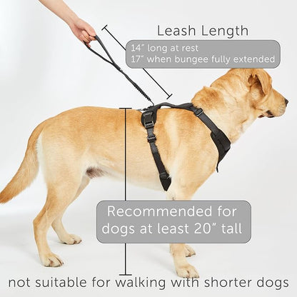 TUG Grab Dog Harness with Built-in Magnetic Traffic Leash (Medium/Green) | Padded Magnetic Traffic Handle | Dual Leash Clips | 4-Point Adjustable Fit | Durable Nylon