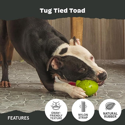 Barkbox Tug Tied Toad Dog Toy for Tough Chewers – Durable Rubber Design, Perfect for Tug-of-War
