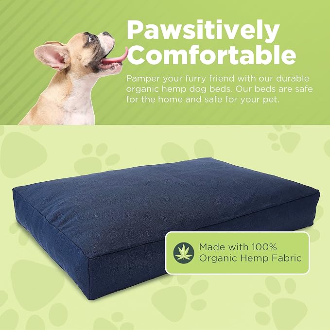 X-Small -24 x 18 x 4 - Black Premium Organic Hemp Dog Bed - Organic Latex Fill - Removeable Cover