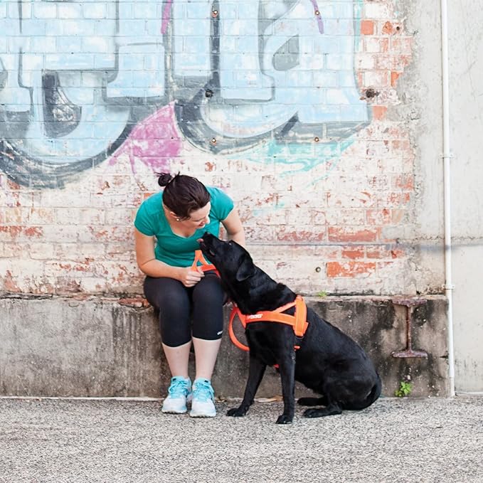 EzyDog Quick Fit Dog Harness, Soft Neoprene Padding - X-Small, Corduroy | Fast One-Click Buckle, Adjustable Fit, Strong Reinforced Materials, Reflective Stitching, No Pull Dog Harness, Easy Walking