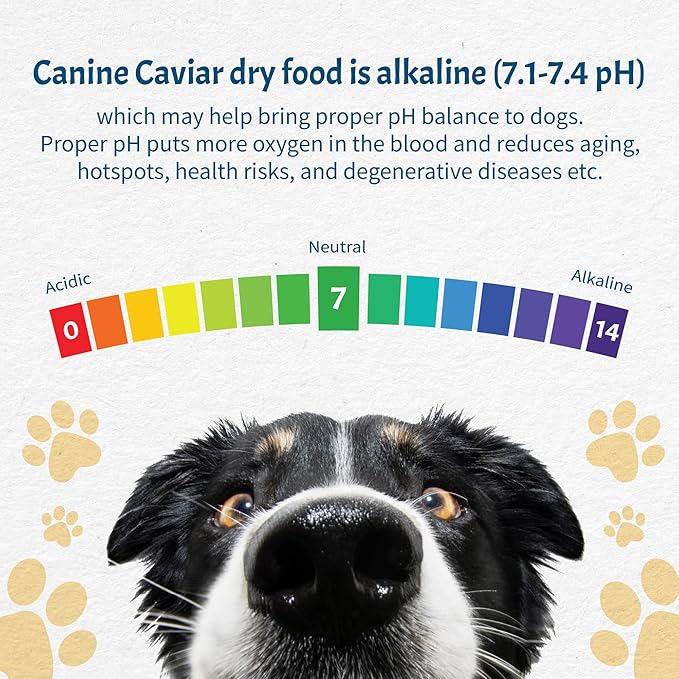 Canine Caviar - Open Meadow: Lamb & Pearl Millet Alkaline Dry Dog Food, Limited Ingredients, Gluten-Free, Based on Science & Research, Veterinary Alternative Diet (22 Pound Bag)