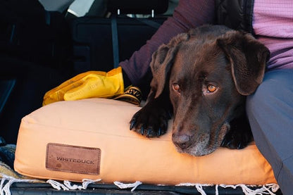 WHITEDUCK Outdoor Dog Bed Heavy-Duty 12oz Canvas, Water-Repellent Cotton, Machine Washable Removable Cover with Full-Length Zipper, Dog Bed for Large Dogs & Crate, (Black) 36" Lx27 Wx4.3 th (L)