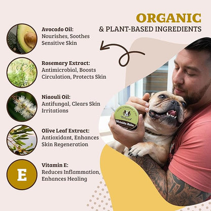 Natural Dog Company Wrinkle Balm, Travel Stick, 0.15 oz, 4 Pack, Dog Lotion for Dry Itchy Skin, Cleans Wrinkles, Yeast Infection Treatment for Dogs, Plant Based, Made in USA