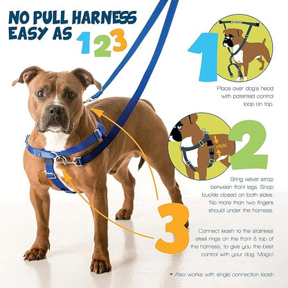 2 Hounds Design Freedom No Pull Dog Harness and Leash, 5/8" SM, Teal | Promotes Easy Walking & Comfortable Control, Secure Fit, Adjustable Harness and Leash Set for Small Sized Dogs, Made in USA