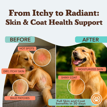 Natural Dog Company Skin & Coat Supplement for Dogs Omega-3 Rich Salmon Oil Chews for Itchy Skin Relief, Shedding & Allergy Support, Shiny Coat Health, with Biotin, Vitamin E, Grain-Free (90 Count)