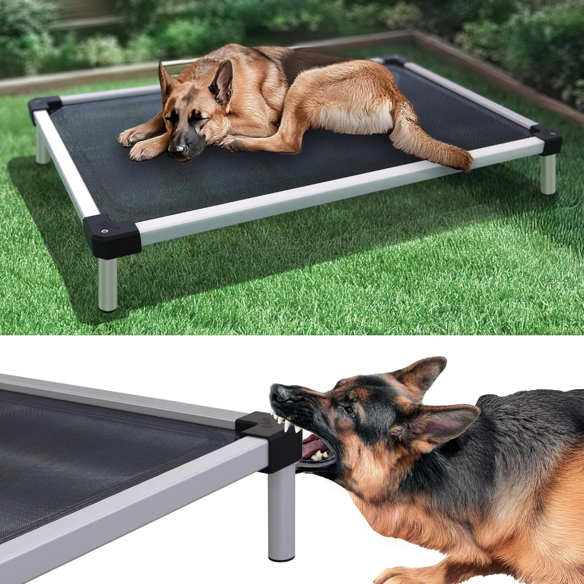 FXW TitanNest Chew-Proof Elevated Dog Bed, Raised Cot for Indoor/Outdoor/Camping Use, Durable & Waterproof Cooling Pet Bed for Large Dogs, 47.0" L x 29.0" W x 7.3" H, Black