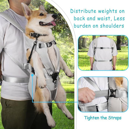 PetBonus Dog Front Carrier Backpacks, Legs Out Easy-fit Puppy Chest Carrier | Hands Free, Adjustable, Safety Strap, Walking Hiking Cycling Motorcycle bag, For Small Medium Dogs (Grey, M)