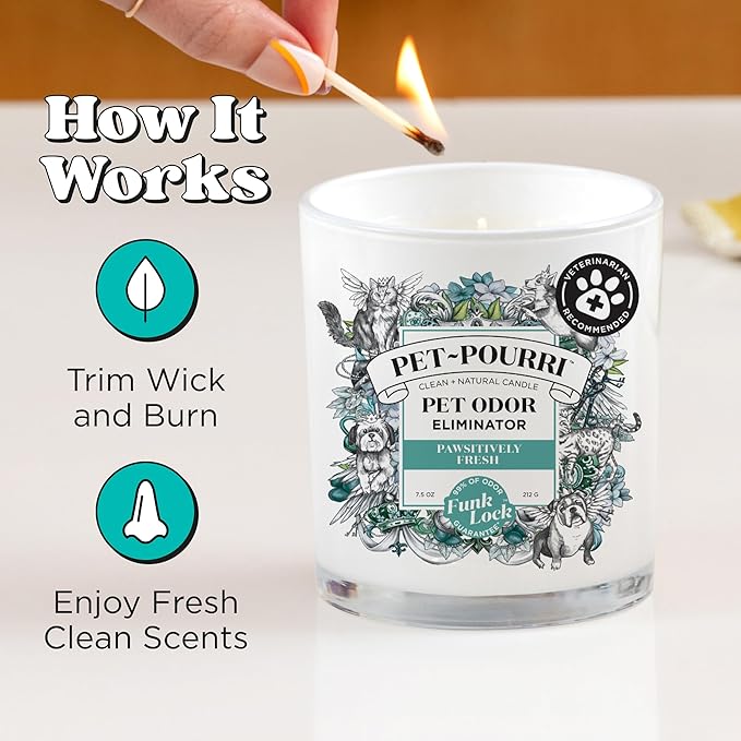 Pet-Pourri Pawsitively Fresh Pet Odor Deodorizer Candle, Burns Up to 45 Hours, Aromatherapy & Air Freshener with Essential Oils, Plant Based Ingredients & Wax, Vet Approved, Jasmine Pear Scent
