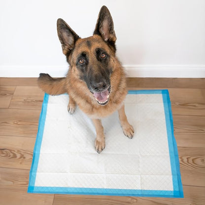 Four Paws Wee-Wee Superior Performance X-Large Dog Pee Pads, 21 Count | Puppy & dog potty training pads, housebreaking supplies, xl puppy pads, pet supplies, 24-hour floor protection, 28" x 34"