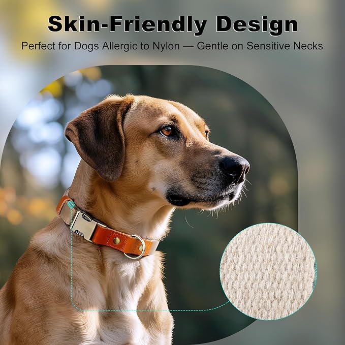 Plutus Pet Genuine Leather & Hemp Dog Collar – Adjustable Heavy Duty Pet Collar with Quick Release Metal Buckle, Soft & Stylish for Puppy and Small, Medium, Large Dogs (Ash Brown, L)