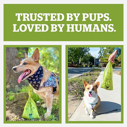 Pogi’s Dog Poop Bags – Leak-Proof & Extra Thick Pet Waste Bags (Unscented, 30 Rolls, 450-Count)