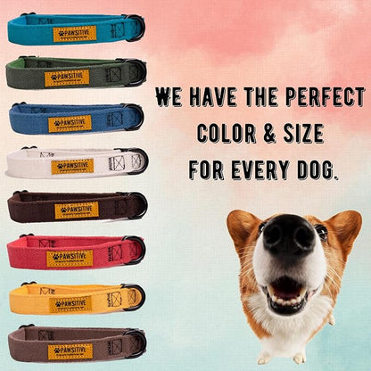 Pawsitive Hemp Dog Collar - Super Soft Hypoallergenic Lining. Great for Small, Medium and Large Dogs; Small Rosemary Red