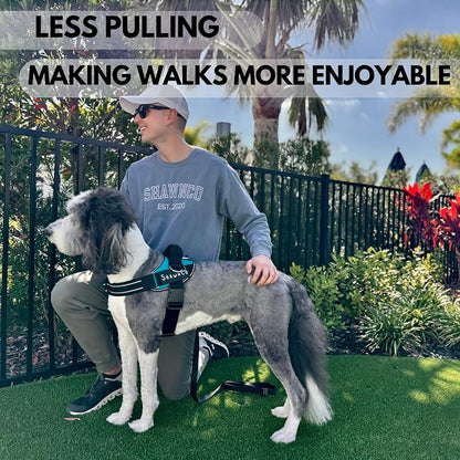ShawnCo Essential Pro Dog Harness, No-Pull Pet Vest with 3 Leash Clips and Removable, Reflective Side Patches, Adjustable and Padded Harness for Small, Medium and Large Dogs (ICY Lilac, L)