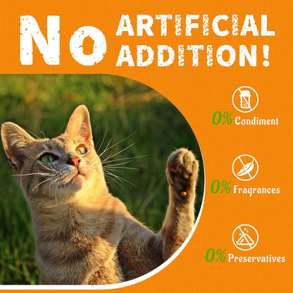 Just Try 13.4 OZ Pumpkin Cat Treats Cat Constipation Relief Hairball Control Healthy Salmon Snacks Training Biscuits Treats for Digestive Support Low Calorie Kitten Snacks