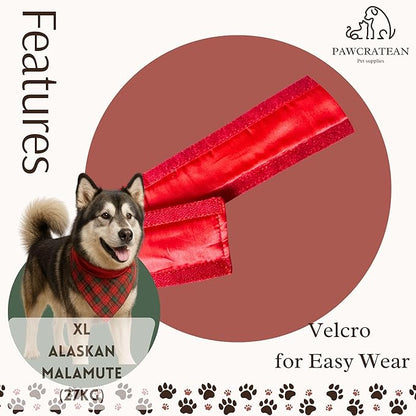 Red Plaid Pet Scarf & Tie Set – Adjustable Holiday Collar Accessory (Red Tie & Scarf Set, Medium)