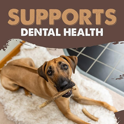 Mighty Paw Split Elk Antlers for Dogs (Sourced in The USA) | 1 Whole Medium 6"+ Long Lasting Bones for Aggressive Chewers - Naturally Shed Split Deer Antler for Dogs - Low Odor Chews (Pack of 1)