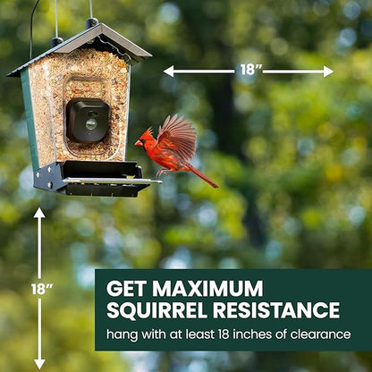 Perky-Pet Solar Powered Smart Bird Feeder with Camera - Squirrel-Resistant, 3.2L Capacity, Motion Activated 1080p HD WiFi Live Stream Camera, SPCAM, SPCAMSLR - Camera Feeder Gift Idea, Forest Green