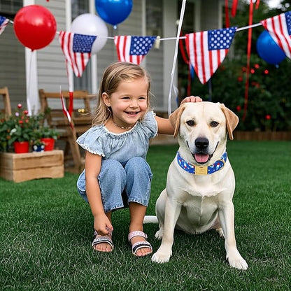 4th of July Dog Collar, Blue Flag Popsicle Patriotic Pet Collar with Metal Buckel, Adjustable Summer Holiday Dog Collars for Small Medium Large Dogs S