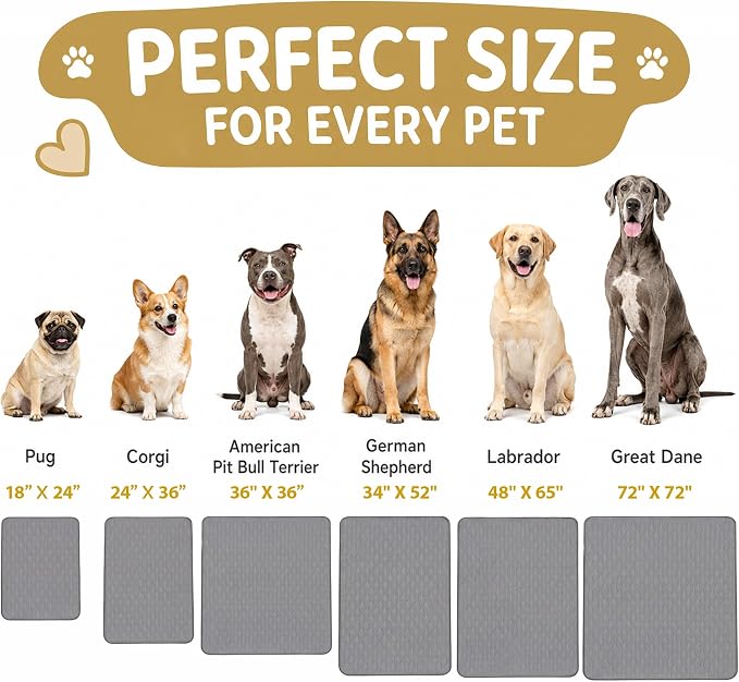 CoolShields Washable Pee Pads for Dogs, 34'' x 52'', Grey, 2 Pack | Ultra-Absorbent Reusable Waterproof Puppy Pad for Crates, Playpens, Carpets, and Floors—Ideal for Dogs, Cats, and Small Pets
