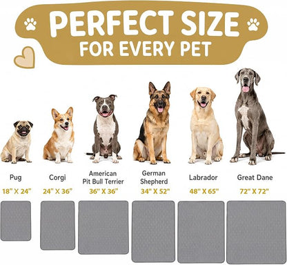 CoolShields Washable Pee Pads for Dogs, 34'' x 52'', Grey, 2 Pack | Ultra-Absorbent Reusable Waterproof Puppy Pad for Crates, Playpens, Carpets, and Floors—Ideal for Dogs, Cats, and Small Pets
