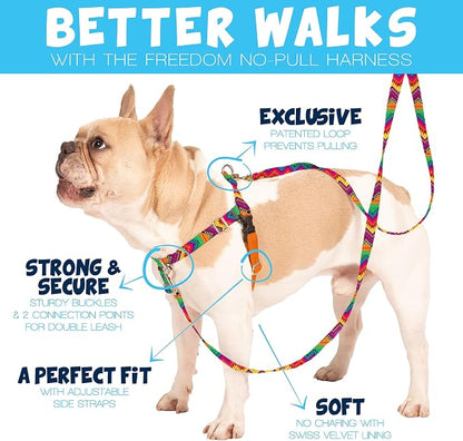 2 Hounds Design Freedom No Pull Dog Harness and Leash, 5/8" SM, Teal | Promotes Easy Walking & Comfortable Control, Secure Fit, Adjustable Harness and Leash Set for Small Sized Dogs, Made in USA