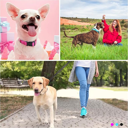 Soft Neoprene Padded Dog Collar and Leash Set for Small Medium Large Dogs, Reflective Durable Nylon Dog Collar with 5ft Leash Easy for Walking, Hot Pink,Neck fit 14.0-23.5’’