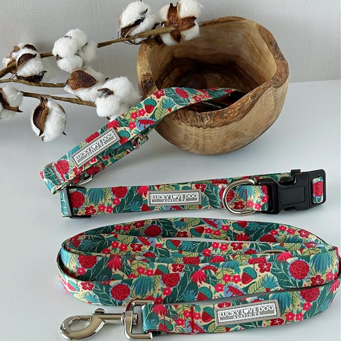Lucky Love Dog - Adjustable Dog Collar with Easy Click Buckle for Small Ones, Durable, & Comfortable for Male & Female Dogs, Pet Collar for Puppies & Adult Dogs - Ginny, XS