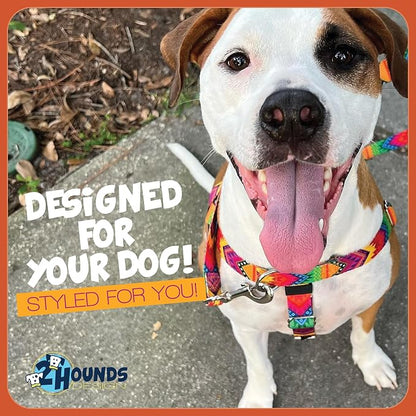 2 Hounds Design Freedom No Pull Dog Harness and Leash, 5/8" SM, Teal | Promotes Easy Walking & Comfortable Control, Secure Fit, Adjustable Harness and Leash Set for Small Sized Dogs, Made in USA