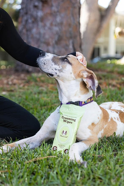 Natural Dog Company XL Grooming Wipes for Dogs – Hypoallergenic, Biodegradable, Fragrance Free – Aloe Vera & Witch Hazel – 7×8 Wipes for Paws, Face, Ears & Butt – Sensitive Skin Pet Wipes - 50 Count