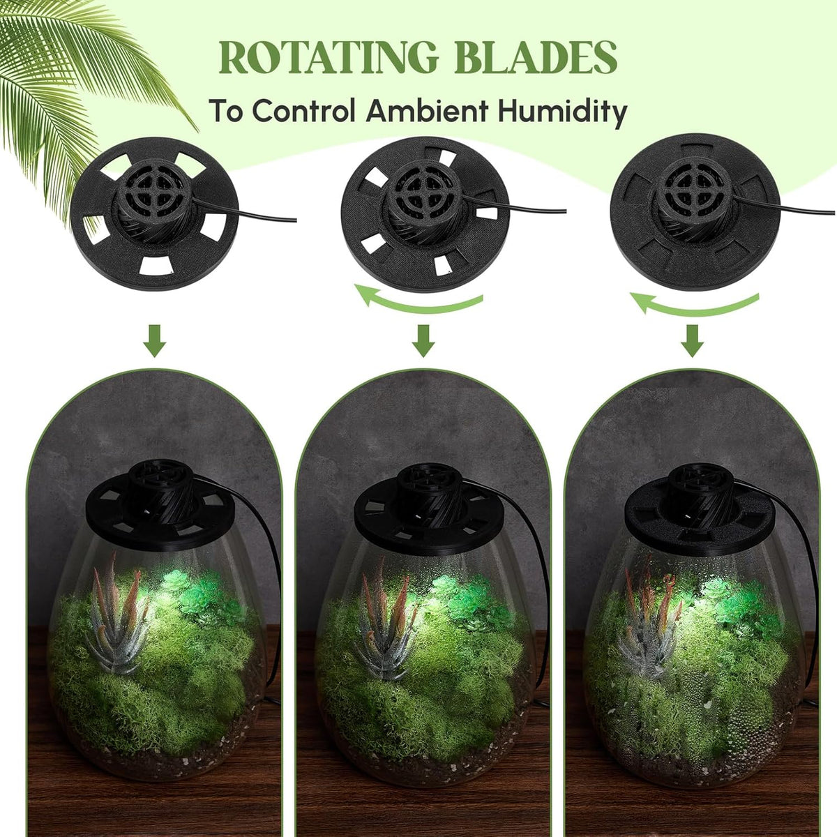 Maxdot Glass Plant Terrarium Kit with Light for Succulent, Moss, Miniature Gardening Landscape, Betta Fish Tank, Office Home Decoration, Plant Lovers Gifts (6.9 x 7.8 Inch)