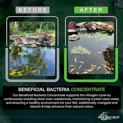 Aquascape Dry Beneficial Bacteria for Pond and Water Features, 8.8 Ounce (Pack of 1), 98948 , white