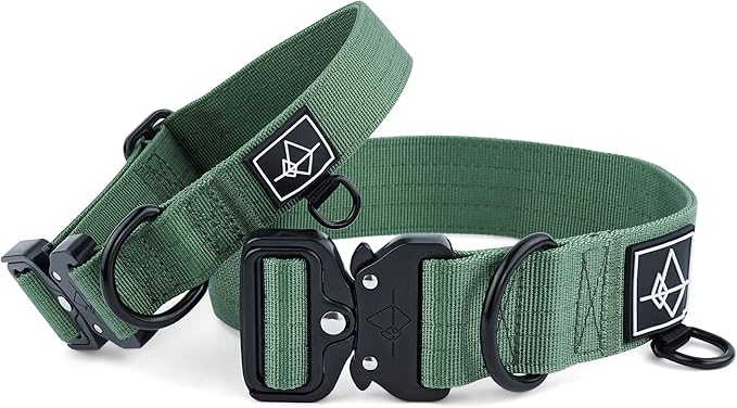 Made to ROAM Premium Dog Collar - Adjustable Heavy Duty Nylon Collar with Quick-Release Metal Buckle (Oregon Haze, Classic Size 0)