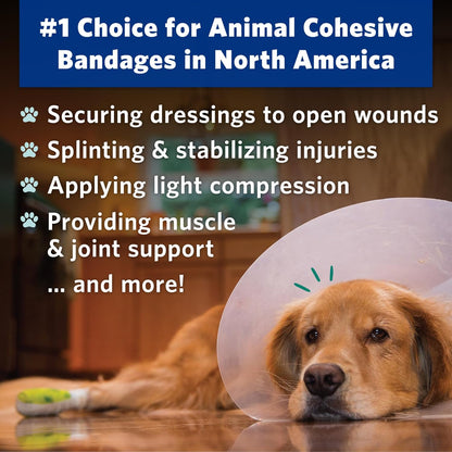 PetFlex No Chew – Flexible Self-Adhering Elastic Bandage for Wound Care – First Aid Wrap for Small Animals Like Dogs, Cats, and Other Pets - 2 inch, 6 Rolls