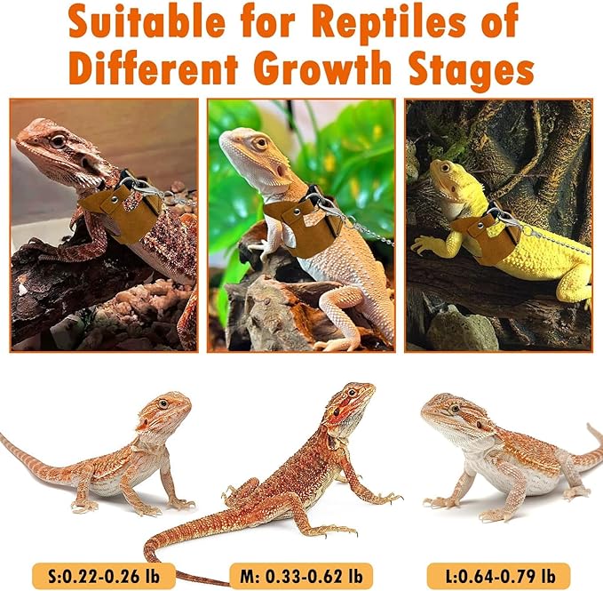 PINVNBY Bearded Dragon Leash and Harness Set - Adjustable with Lizard Traction Rope and Mini Scooter Toy for Reptile Outdoor Walking - 3 Sizes