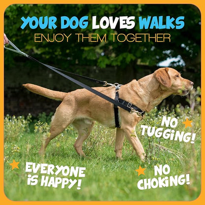 2 Hounds Design Freedom No Pull Dog Harness and Leash, 5/8" SM, Teal | Promotes Easy Walking & Comfortable Control, Secure Fit, Adjustable Harness and Leash Set for Small Sized Dogs, Made in USA