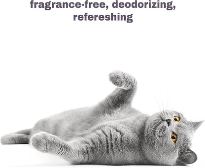 Soothing Hypoallergenic Cat Shampoo – Easy at-Home Cat Grooming | Deodorizes | Gentle & Anti-Itch | Natural & Allergy-Safe Cat Shampoo Sensitive Skin – Fragrance Free | 9 fl oz